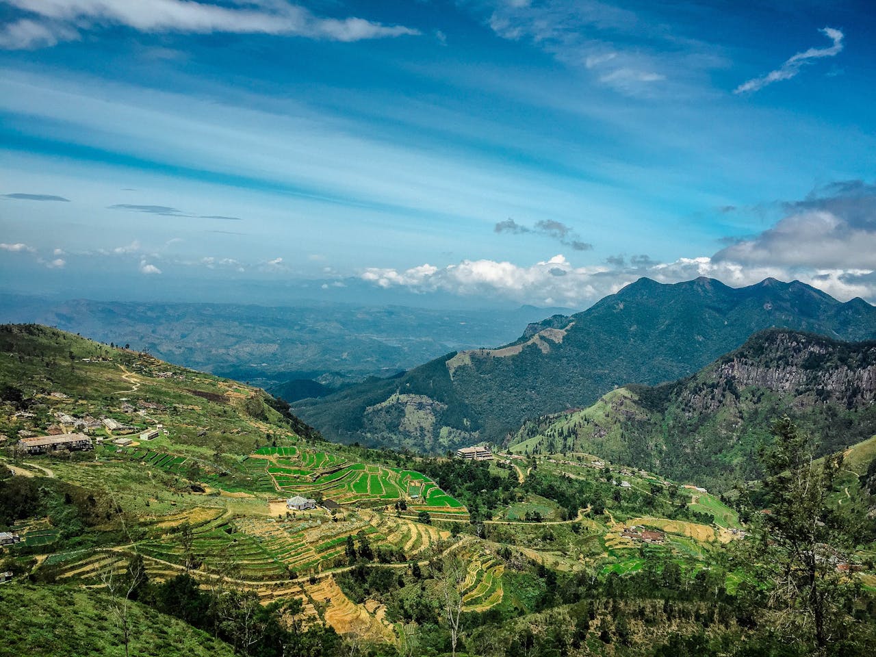 Into the Mist: Discovering Sri Lanka’s Hill Country