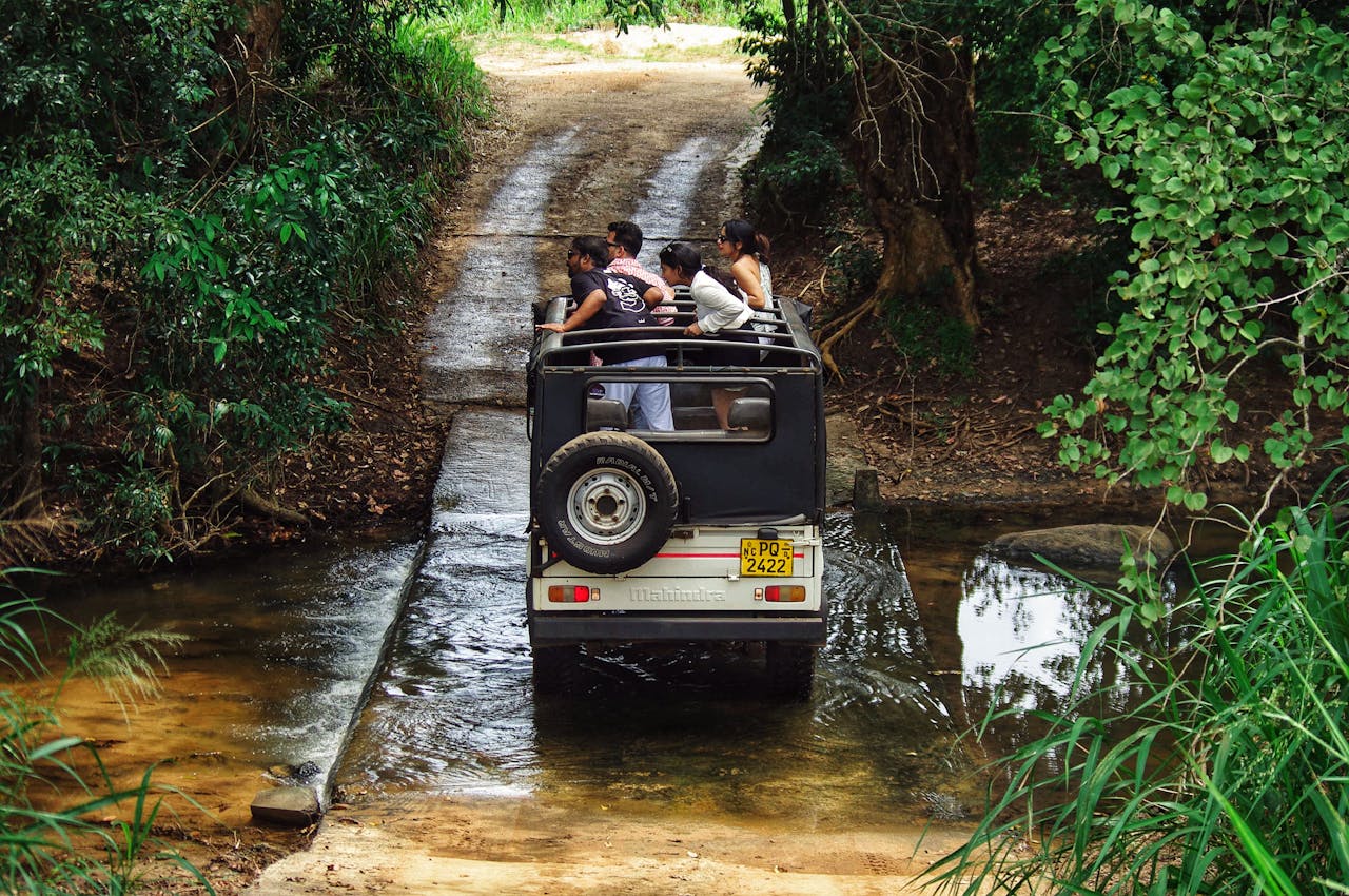 Beyond the Safari Jeep: The Complete Wildlife Guide to Sri Lanka – Leopards, Elephants, Whales, and Everything That Creeps, Swims, or Flies